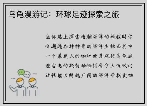 乌龟漫游记：环球足迹探索之旅