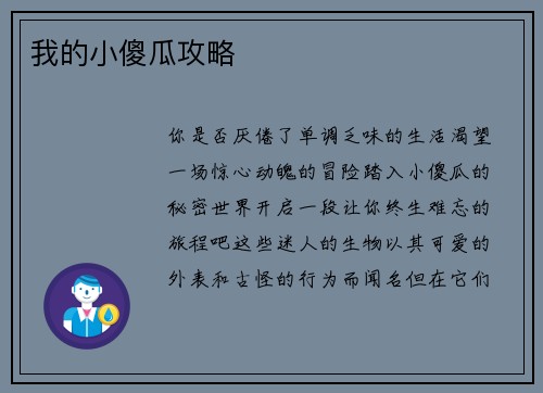 我的小傻瓜攻略